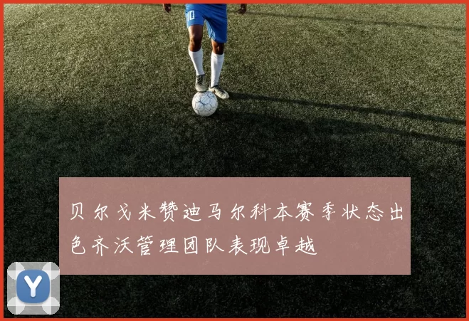 贝尔戈米赞迪马尔科本赛季状态出色齐沃管理团队表现卓越